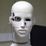 Final result face