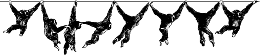 gibbon motion
